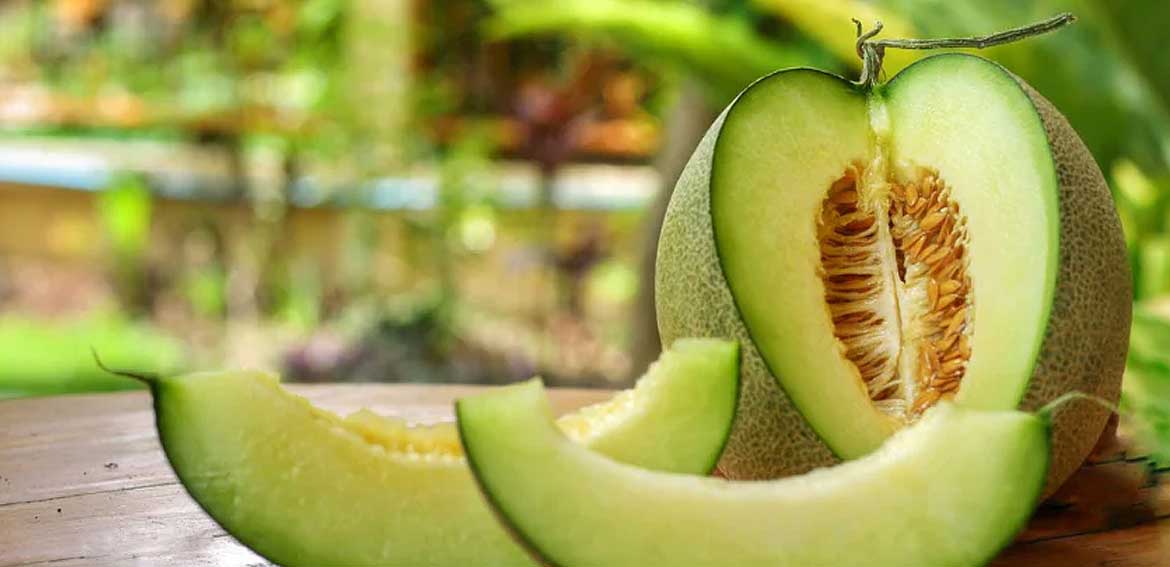 طبع طالبی