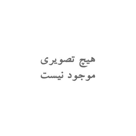 عرق زنجبیل